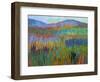 Color Field No. 68-Jane Schmidt-Framed Premium Giclee Print