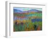 Color Field No. 68-Jane Schmidt-Framed Premium Giclee Print