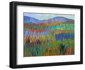 Color Field No. 68-Jane Schmidt-Framed Art Print