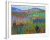 Color Field No. 68-Jane Schmidt-Framed Art Print