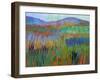 Color Field No. 68-Jane Schmidt-Framed Art Print