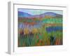 Color Field No. 68-Jane Schmidt-Framed Art Print