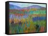 Color Field No. 68-Jane Schmidt-Framed Stretched Canvas