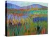 Color Field No. 68-Jane Schmidt-Stretched Canvas