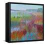 Color Field No. 71-Jane Schmidt-Framed Stretched Canvas