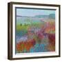 Color Field No. 71-Jane Schmidt-Framed Art Print