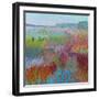 Color Field No. 71-Jane Schmidt-Framed Art Print