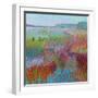 Color Field No. 71-Jane Schmidt-Framed Art Print