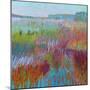 Color Field No. 71-Jane Schmidt-Mounted Art Print