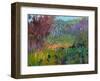Color Field No. 72-Jane Schmidt-Framed Art Print