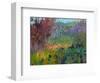 Color Field No. 72-Jane Schmidt-Framed Art Print