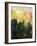 Color Field-Sydney Edmunds-Framed Giclee Print