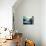 Color from Every View-Leo Posillico-Mounted Art Print displayed on a wall