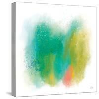 Color Full-Melissa Averinos-Stretched Canvas