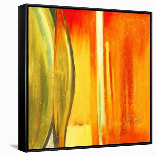 Color Glasses I-Patricia Pinto-Framed Stretched Canvas