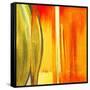 Color Glasses I-Patricia Pinto-Framed Stretched Canvas