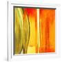 Color Glasses I-Patricia Pinto-Framed Art Print