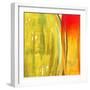 Color Glasses II-Patricia Pinto-Framed Premium Giclee Print