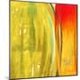 Color Glasses II-Patricia Pinto-Mounted Premium Giclee Print