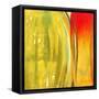 Color Glasses II-Patricia Pinto-Framed Stretched Canvas
