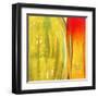 Color Glasses II-Patricia Pinto-Framed Art Print