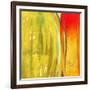 Color Glasses II-Patricia Pinto-Framed Art Print