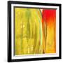 Color Glasses II-Patricia Pinto-Framed Art Print