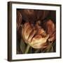 Color Harmony II-Linda Thompson-Framed Giclee Print