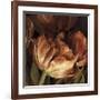 Color Harmony II-Linda Thompson-Framed Giclee Print