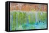 Color III-Kathy Mahan-Framed Stretched Canvas