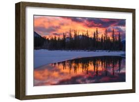 Color in the Pool-Michael Blanchette Photography-Framed Giclee Print