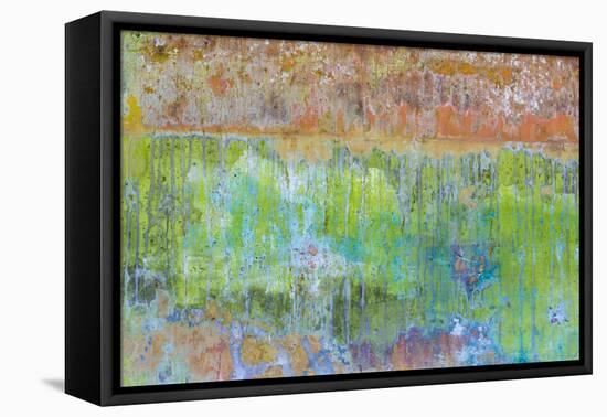 Color IV-Kathy Mahan-Framed Stretched Canvas
