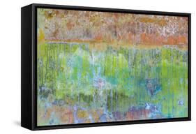 Color IV-Kathy Mahan-Framed Stretched Canvas