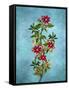 Color Leaves 2-Ata Alishahi-Framed Stretched Canvas