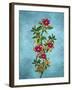 Color Leaves 2-Ata Alishahi-Framed Giclee Print