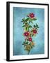 Color Leaves 2-Ata Alishahi-Framed Giclee Print