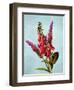 Color Leaves B-Ata Alishahi-Framed Giclee Print