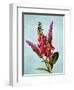 Color Leaves B-Ata Alishahi-Framed Giclee Print