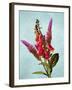 Color Leaves B-Ata Alishahi-Framed Giclee Print