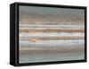 Color Map of Jupiter-Stocktrek Images-Framed Stretched Canvas