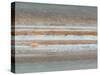 Color Map of Jupiter-Stocktrek Images-Stretched Canvas