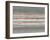 Color Map of Jupiter-Stocktrek Images-Framed Photographic Print