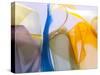 Color Mill-Caroyl La Barge-Stretched Canvas