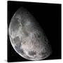 Color Mosaic of the Earth's Moon-null-Stretched Canvas