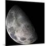 Color Mosaic of the Earth's Moon-null-Mounted Photographic Print