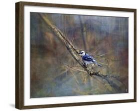 Color My World Blue Jay-Jai Johnson-Framed Giclee Print