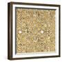 Color my World Spice Mosaic Pattern Gold-Daphne Brissonnet-Framed Art Print