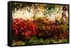 Color of Fall I-Alan Hausenflock-Framed Stretched Canvas