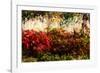 Color of Fall I-Alan Hausenflock-Framed Photographic Print