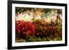 Color of Fall I-Alan Hausenflock-Framed Photographic Print